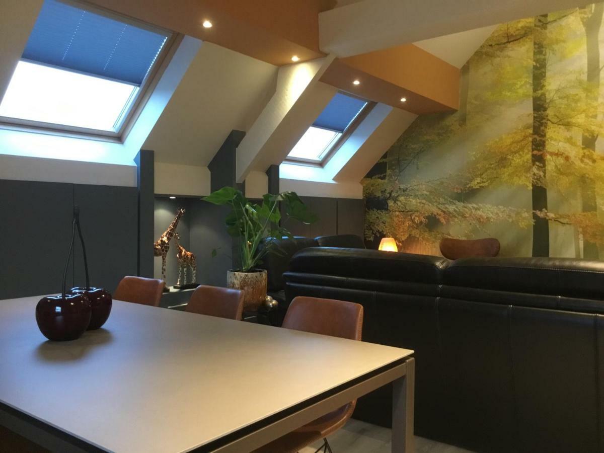 Villa Schoon ヘラールツベルヘン エクステリア 写真